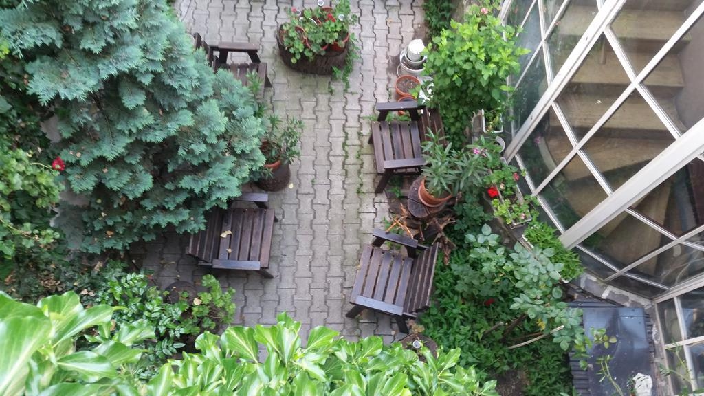 Bed and Breakfast Vila Monica Târgu-Mureş Exteriér fotografie