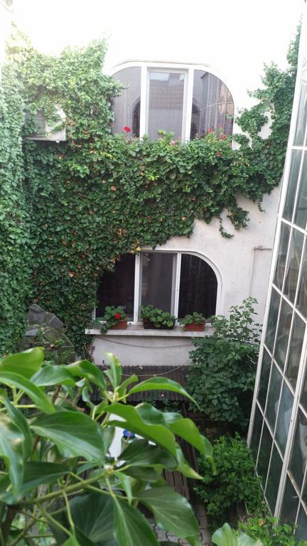 Bed and Breakfast Vila Monica Târgu-Mureş Exteriér fotografie