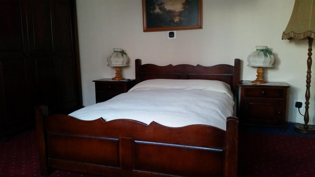Bed and Breakfast Vila Monica Târgu-Mureş Pokoj fotografie