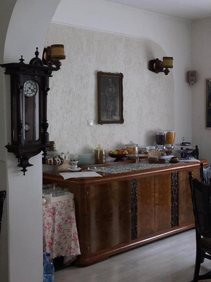 Bed and Breakfast Vila Monica Târgu-Mureş Exteriér fotografie