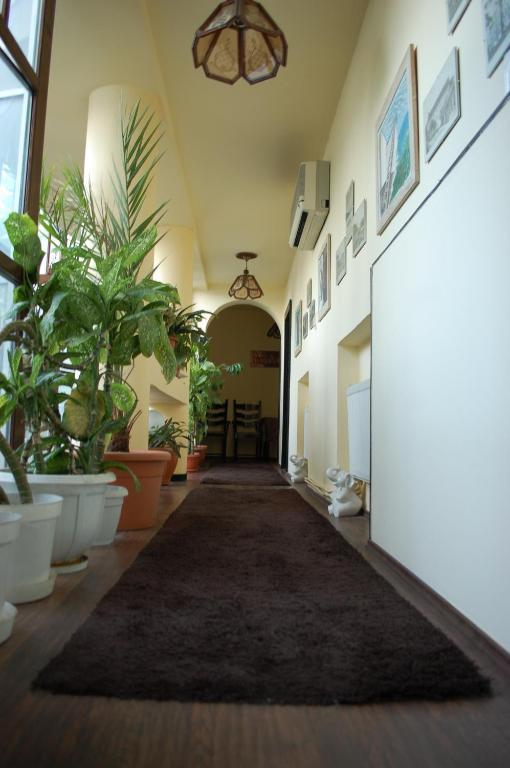 Bed and Breakfast Vila Monica Târgu-Mureş Exteriér fotografie